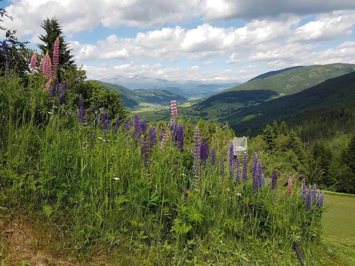 Residenz Monica Top 8 Sankt Margarethen im Lungau Kültér fotó